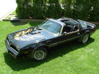 Illustration for article titled Happy Birthday Bandit! Trans Am Dump